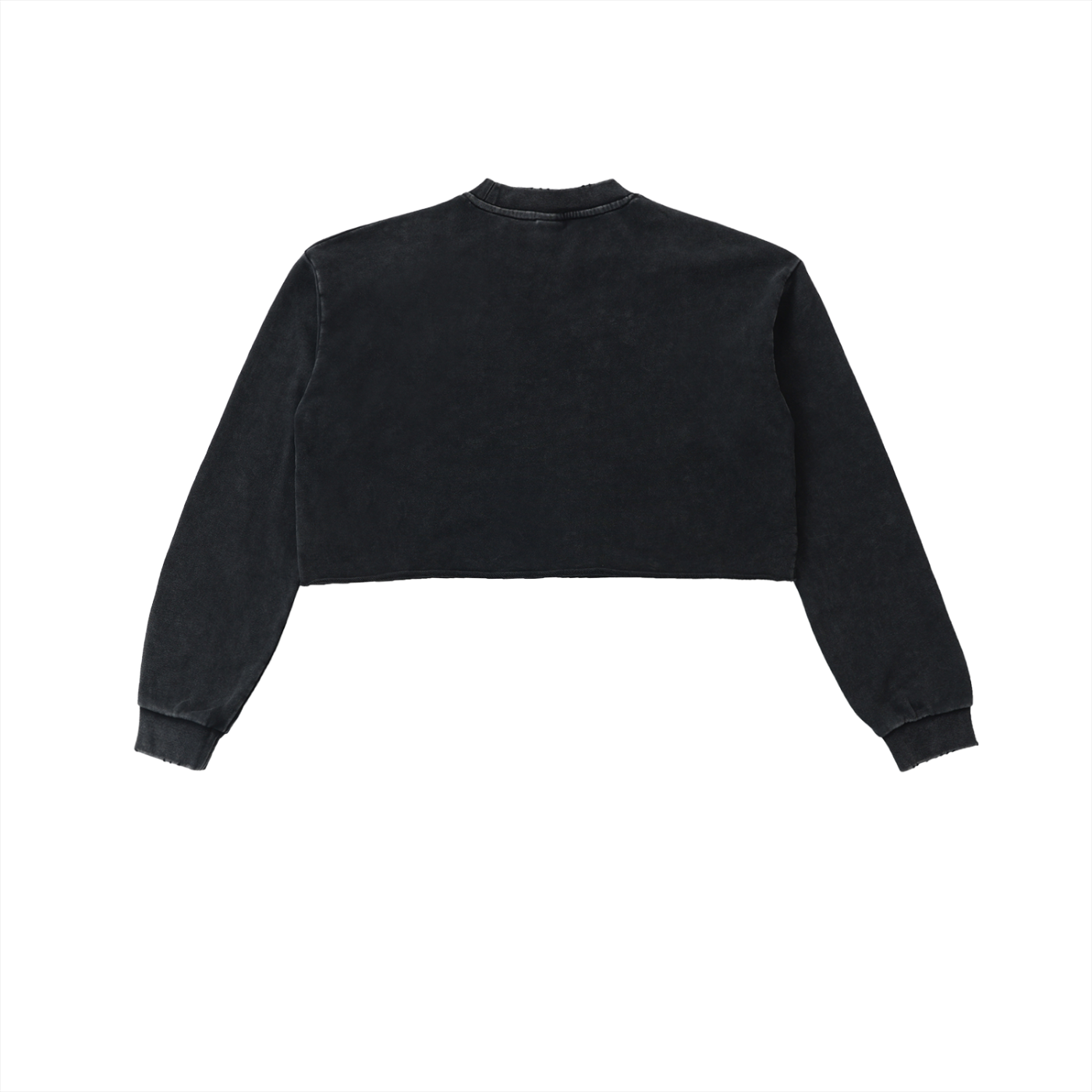 Debut Collection - Snow Washed Cropped Sweatshirt